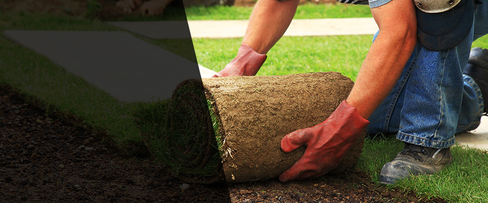 Arnold Landscapers